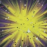 000274