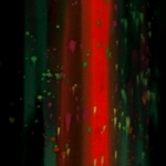 000002