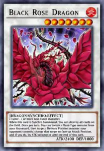 Black Rose Dragon - 7898